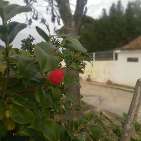 בית נופש O Mundo Da Lua *