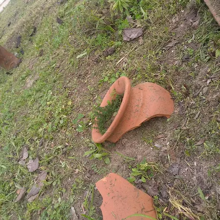 O Mundo Da Lua בית נופש אזייתאו