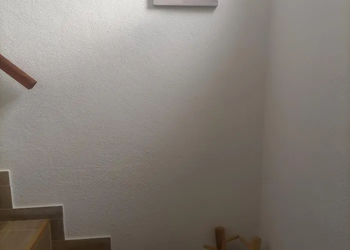 O Mundo Da Lua Azeitão