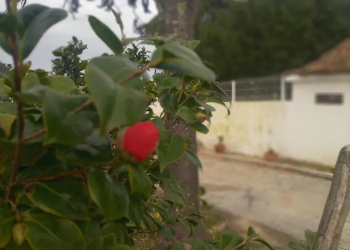 Feriehus O Mundo Da Lua *