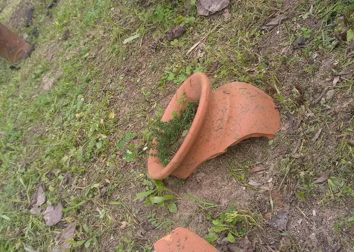 O Mundo Da Lua Feriehus Azeitão