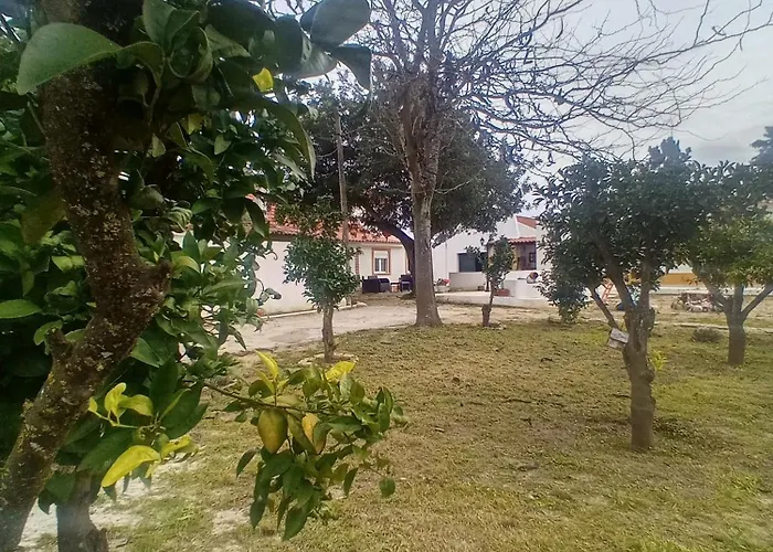 Feriehus O Mundo Da Lua *